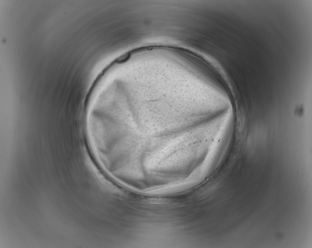 X0000113161295200909251343