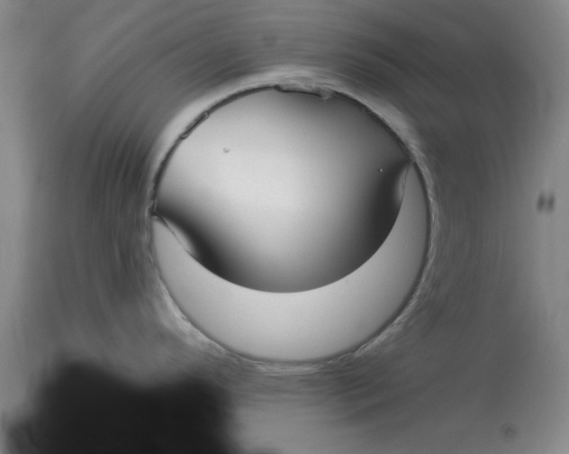 X0000113161296200909251343