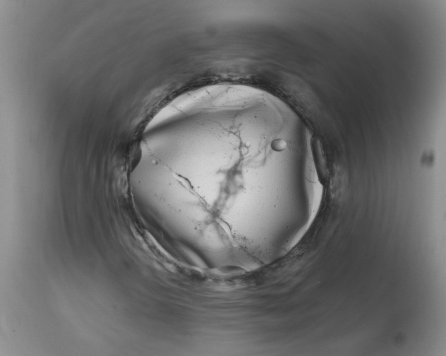 X0000113161298200909251342