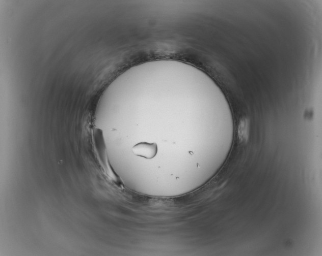 X0000113161299200909251342