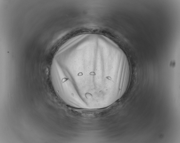 X0000113161302200909251342