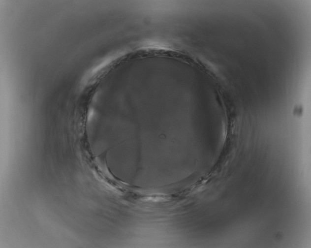 X0000113161303200909251342