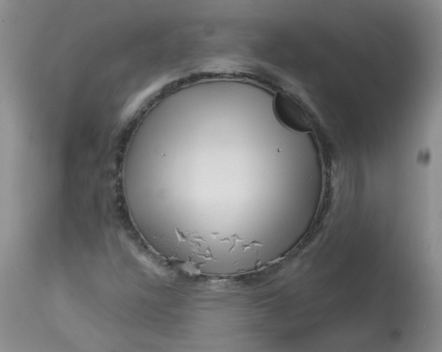 X0000113161304200909251342