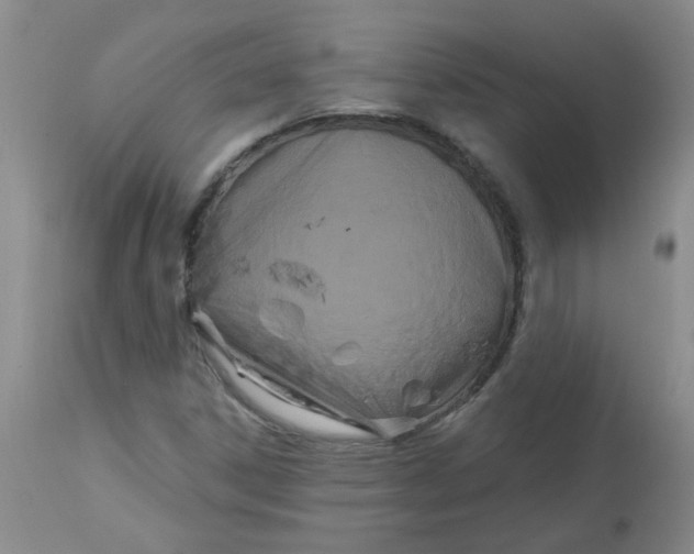 X0000113161306200909251342