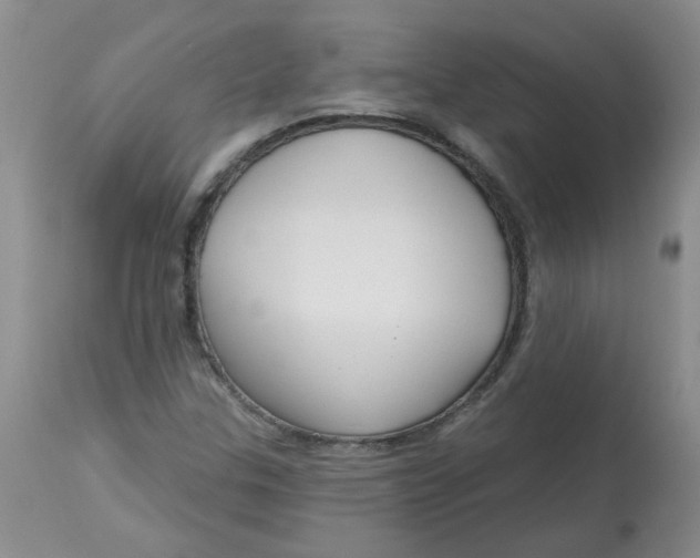 X0000113161307200909251342