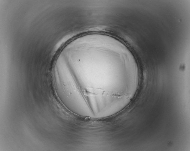 X0000113161308200909251342