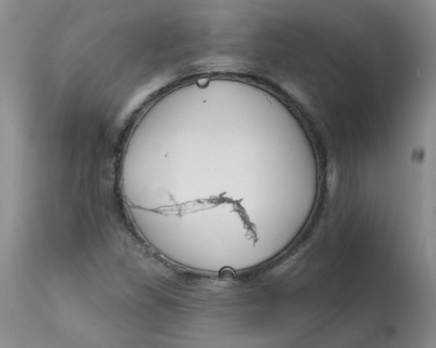 X0000113161309200909251342