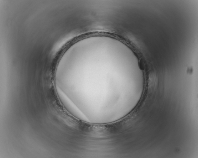 X0000113161310200909251342