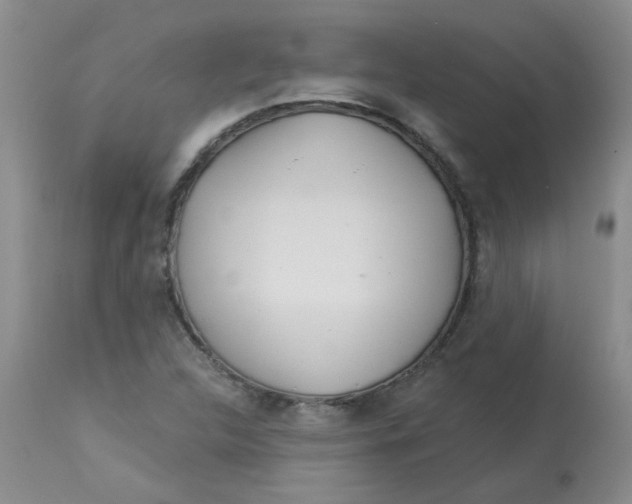 X0000113161312200909251342