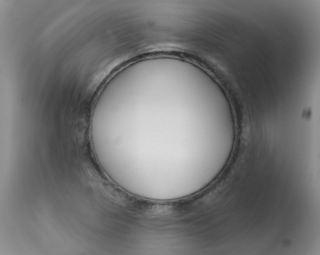 X0000113161313200909251342