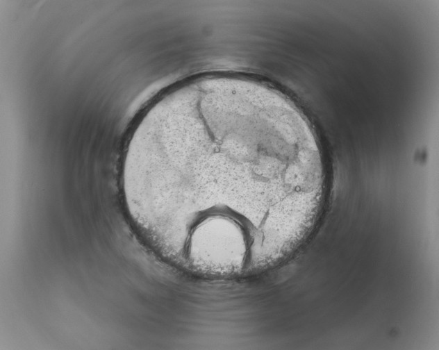 X0000113161314200909251342