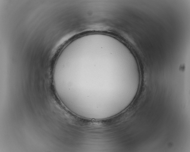 X0000113161315200909251342