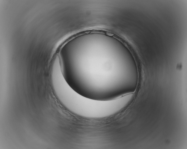 X0000113161316200909251342