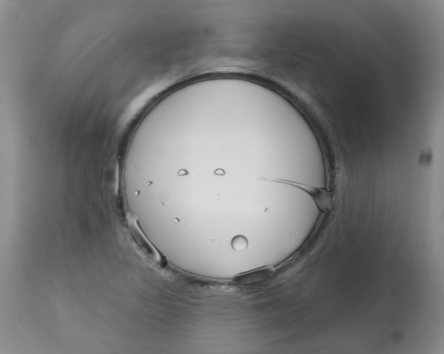 X0000113161317200909251342