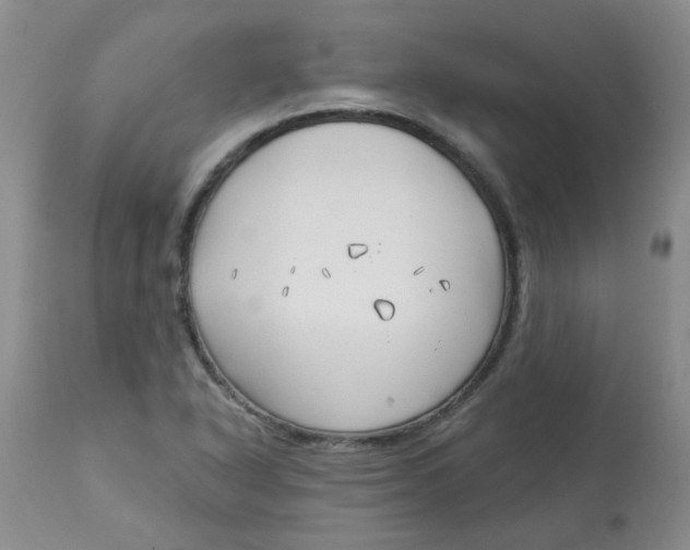 X0000113161318200909251342