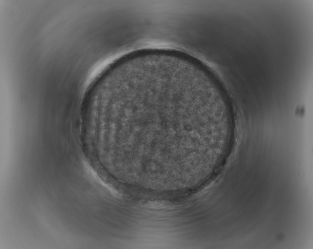 X0000113161319200909251342