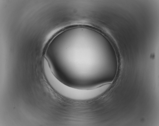 X0000113161320200909251342