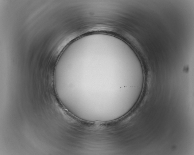 X0000113161321200909251342