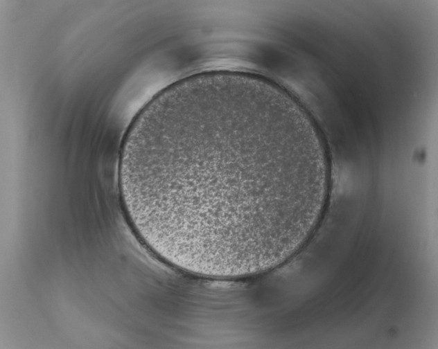 X0000113161322200909251342