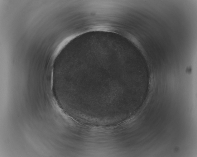 X0000113161323200909251342