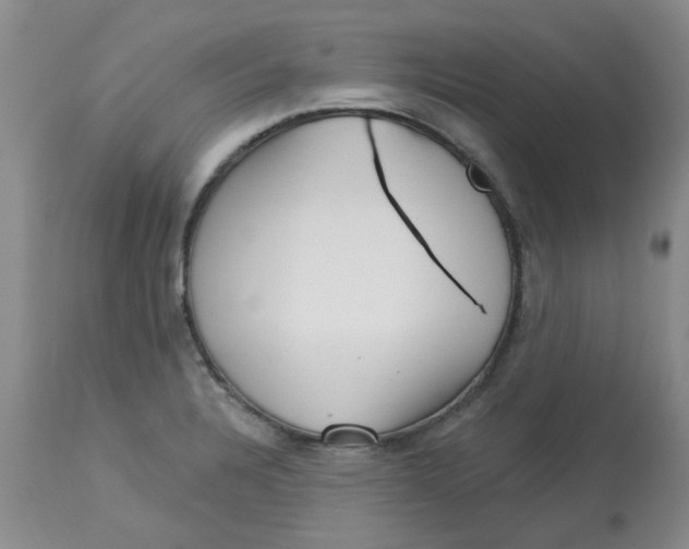 X0000113161328200909251342