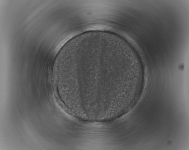 X0000113161329200909251342