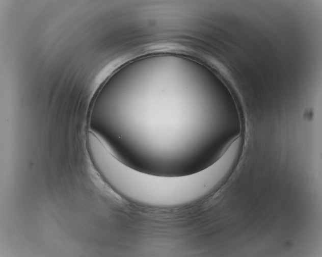 X0000113161330200909251342