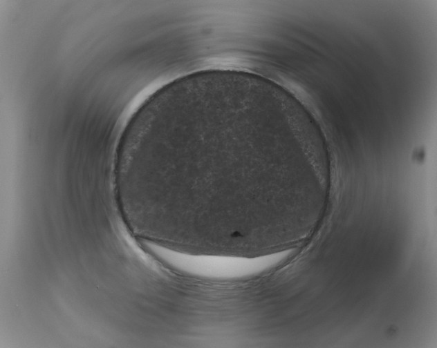 X0000113161331200909251342