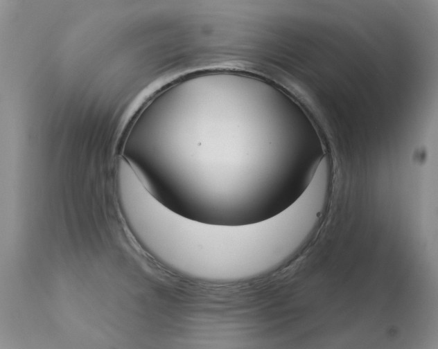 X0000113161332200909251342