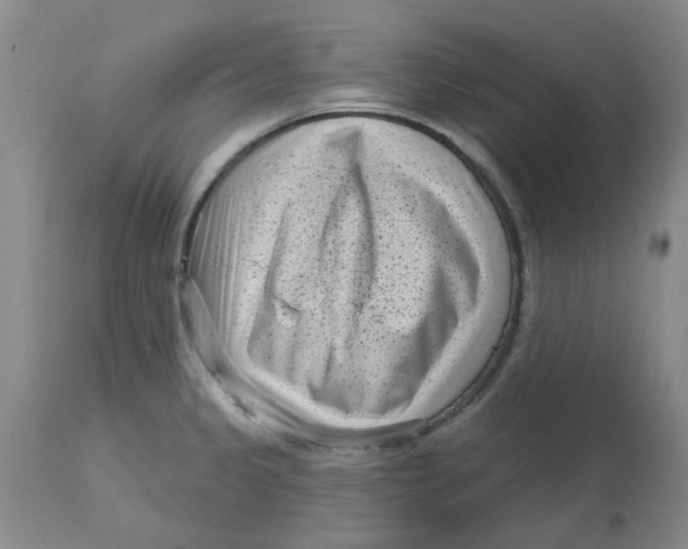 X0000113161333200909251342