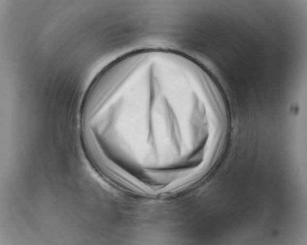 X0000113161335200909251342