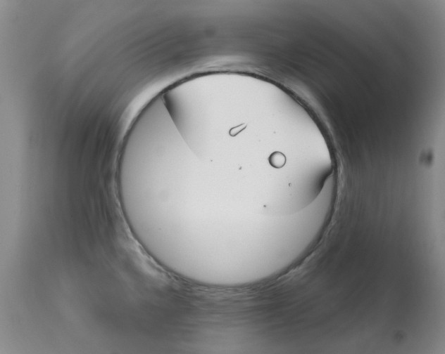 X0000113161336200909251342