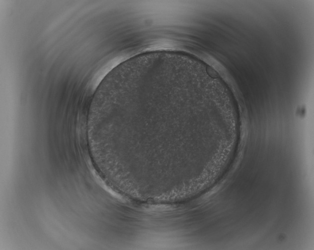 X0000113161337200909251342