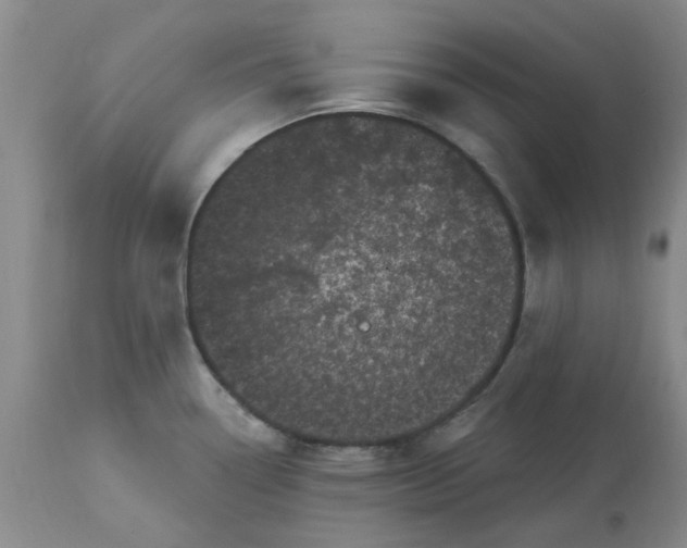 X0000113161338200909251343