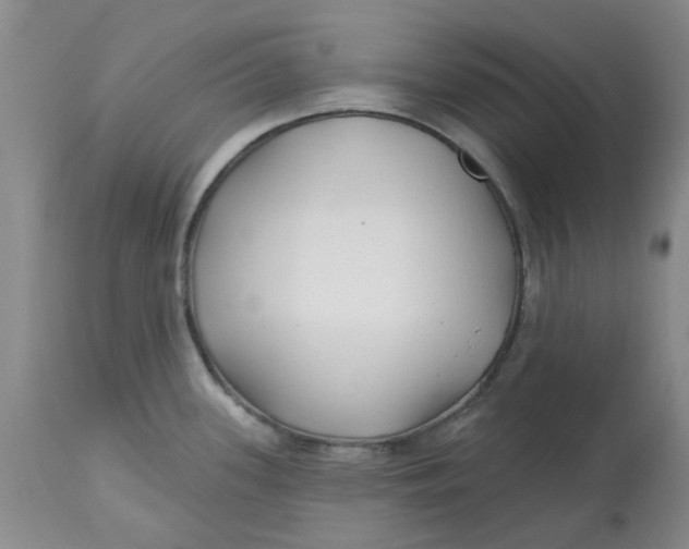 X0000113161339200909251343