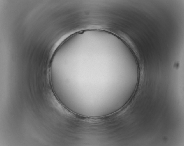 X0000113161340200909251343