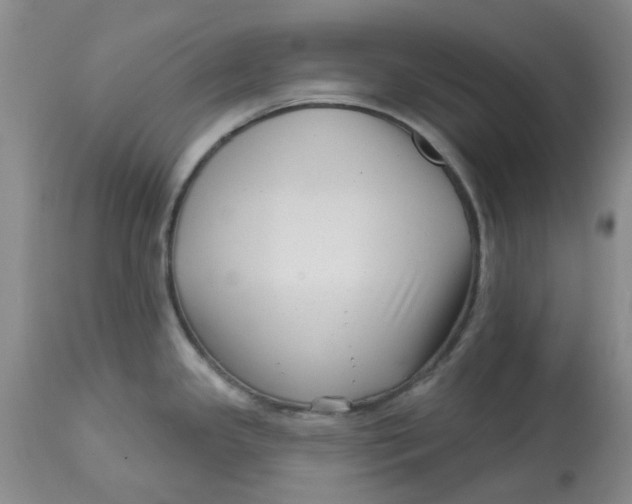 X0000113161341200909251343