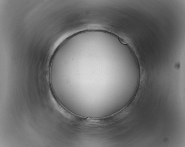 X0000113161342200909251343