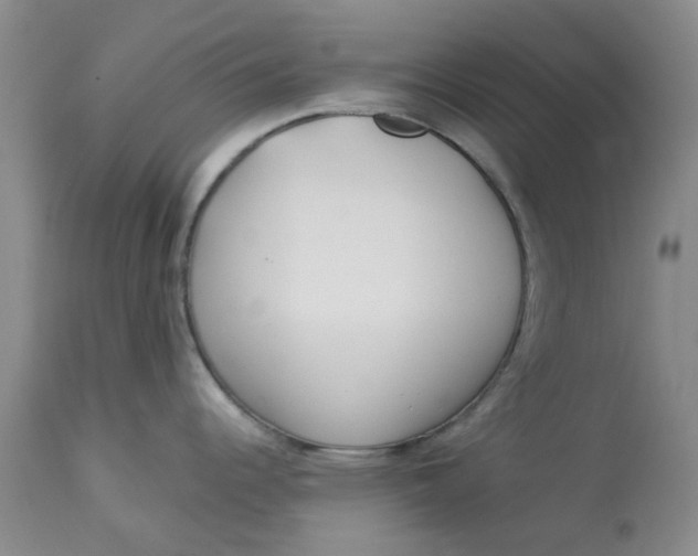 X0000113161344200909251343