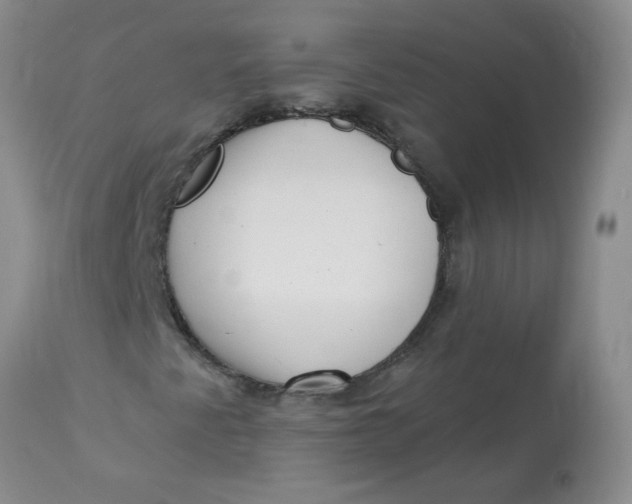 X0000113161345200909251342