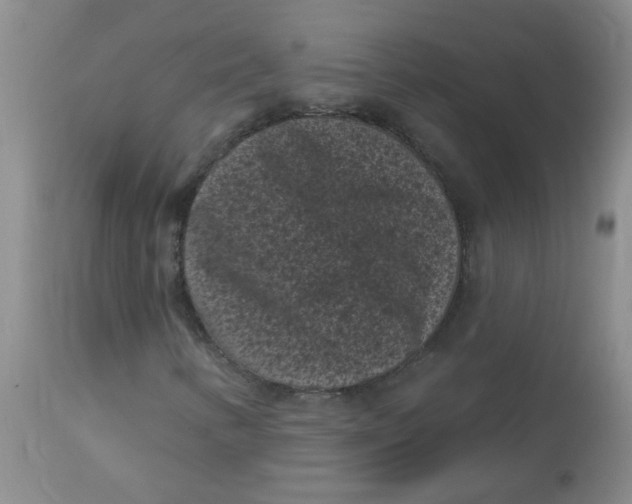 X0000113161346200909251342