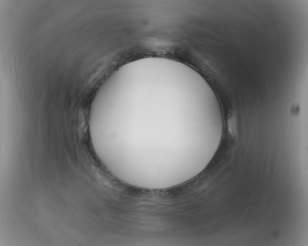 X0000113161347200909251342