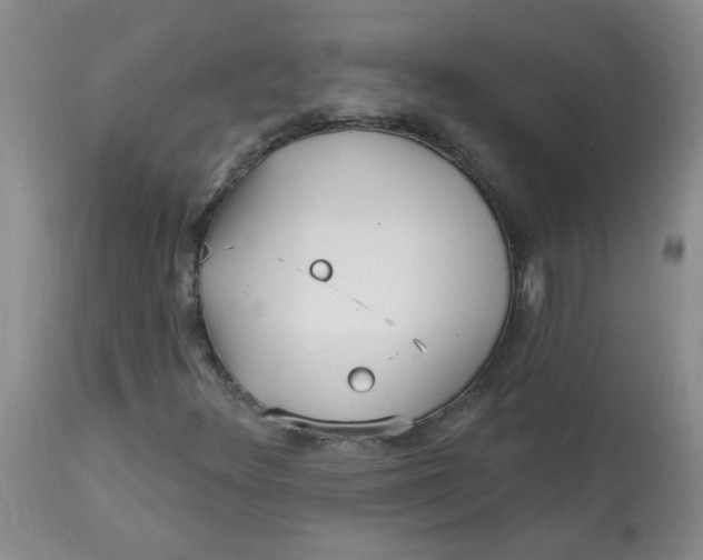 X0000113161348200909251342