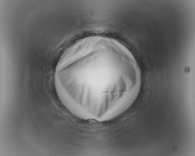 X0000113161349200909251342