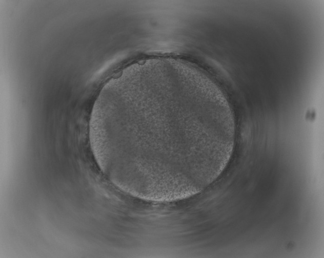 X0000113161350200909251342