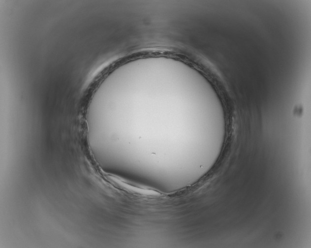 X0000113161352200909251342