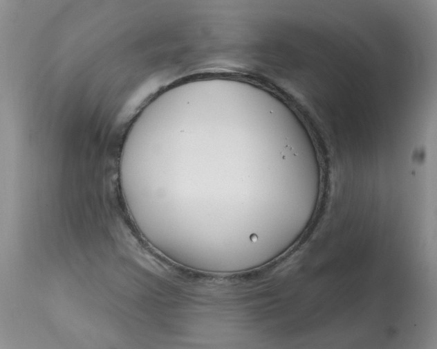 X0000113161355200909251342