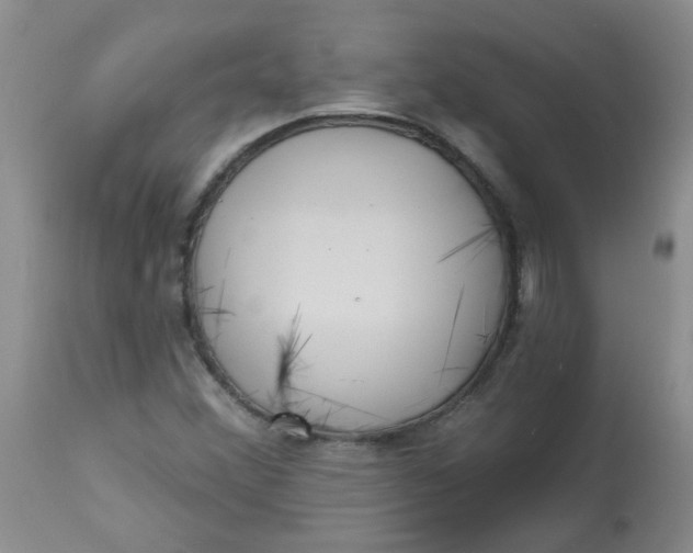 X0000113161356200909251342