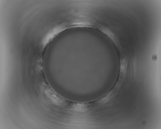 X0000113161357200909251342