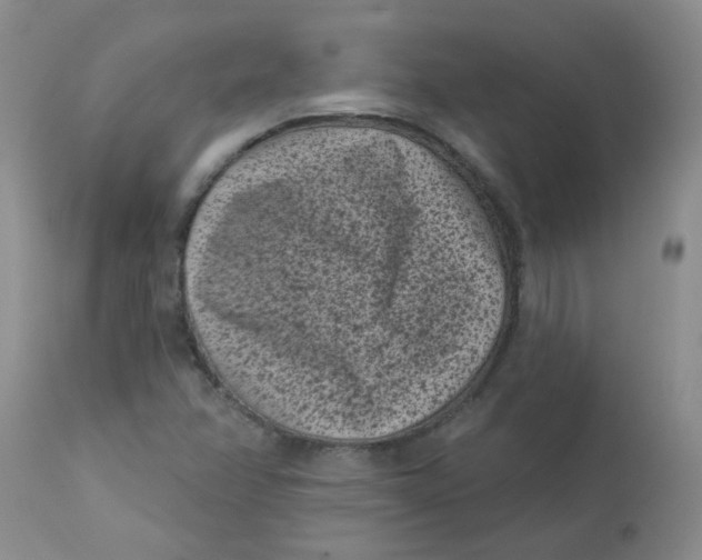 X0000113161358200909251342